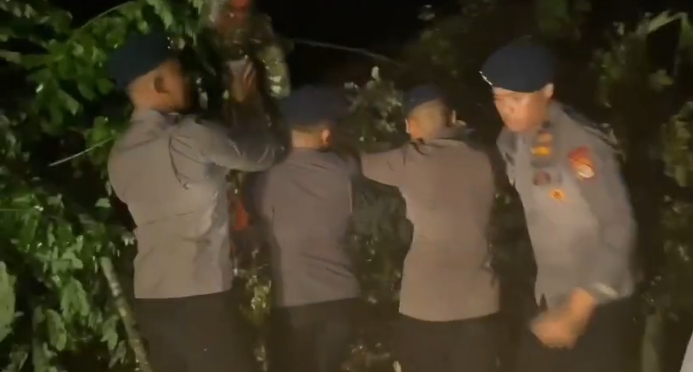Personel  Batalyon C Pelopor Bersama Instansi Terkait Bersinergi Untuk Mengevakuasi Pohon Tumbang