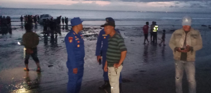 Polres Jembrana Gerak Cepat Tangani Paus Sperma Terdampar di Melaya Bali